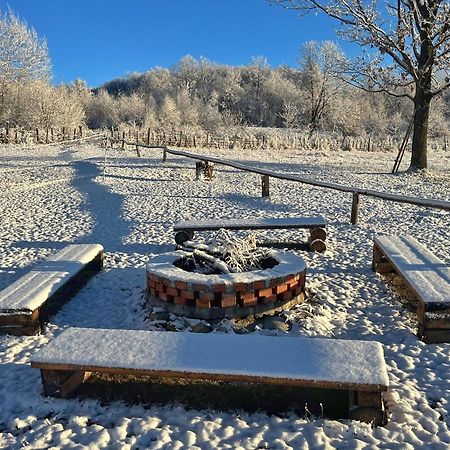 Willa Casuta Din Stejari-Transalpina Novaci-Străini Zewnętrze zdjęcie
