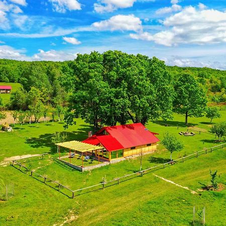 Willa Casuta Din Stejari-Transalpina Novaci-Străini Zewnętrze zdjęcie