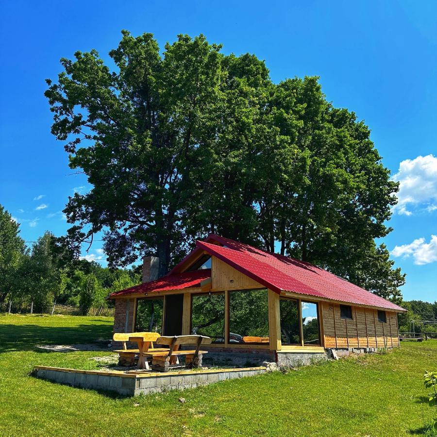 Willa Casuta Din Stejari-Transalpina Novaci-Străini Zewnętrze zdjęcie