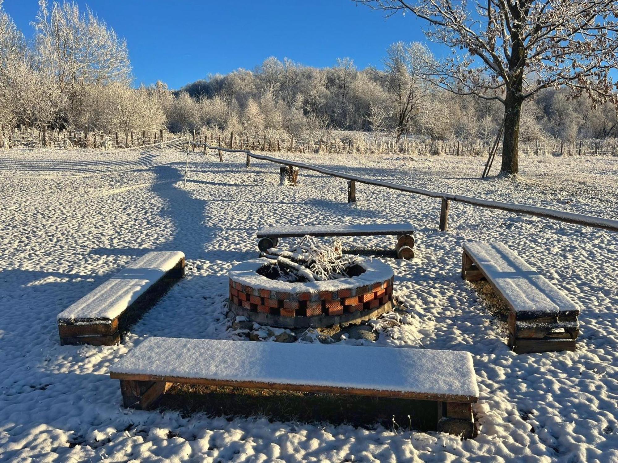 Willa Casuta Din Stejari-Transalpina Novaci-Străini Zewnętrze zdjęcie